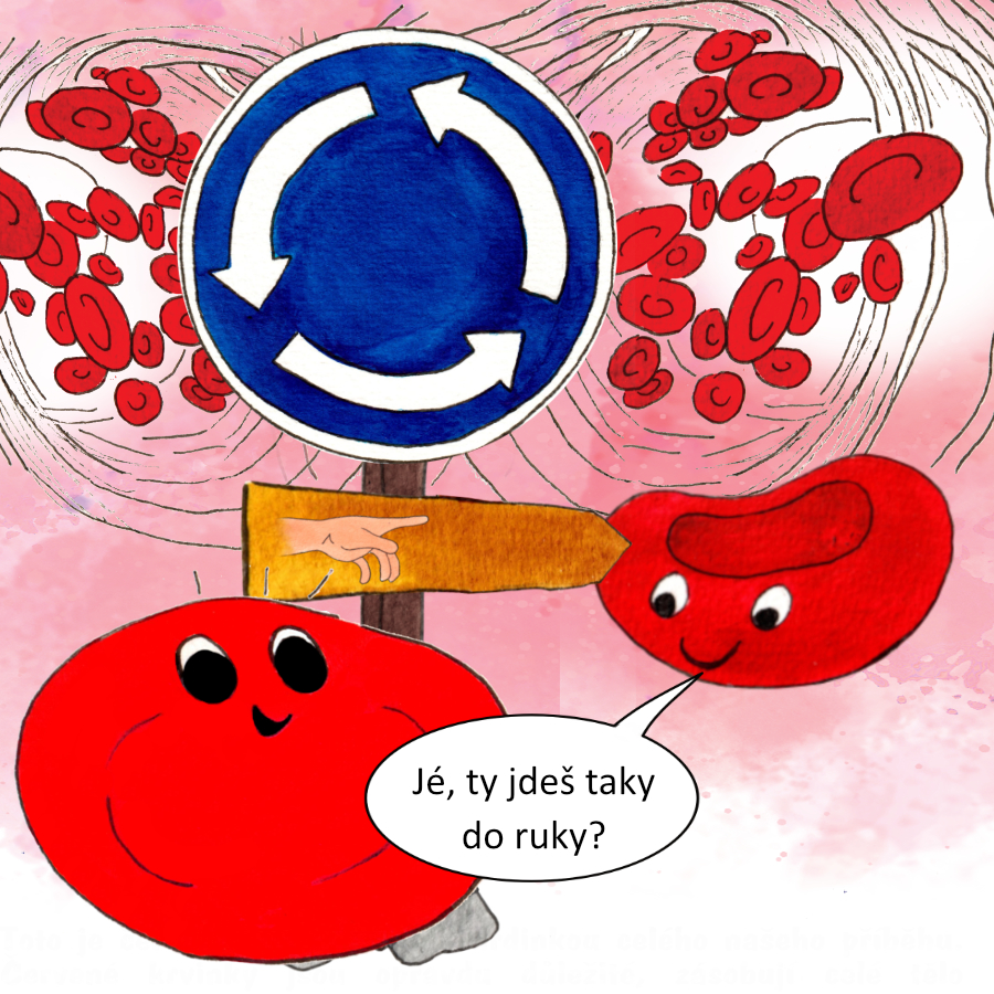 Krvinka a Hema na rozcestí